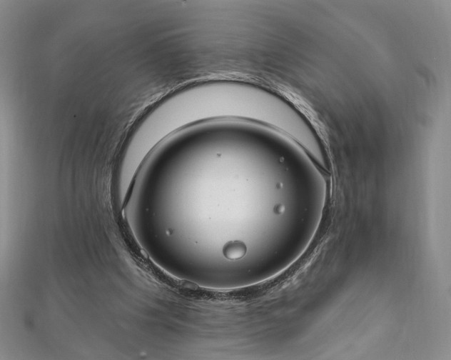 X0000111910201200908031145