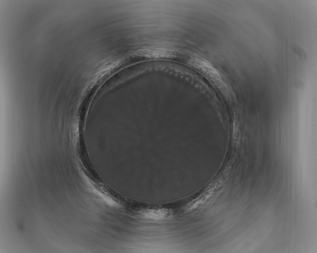 X0000111910202200908031145