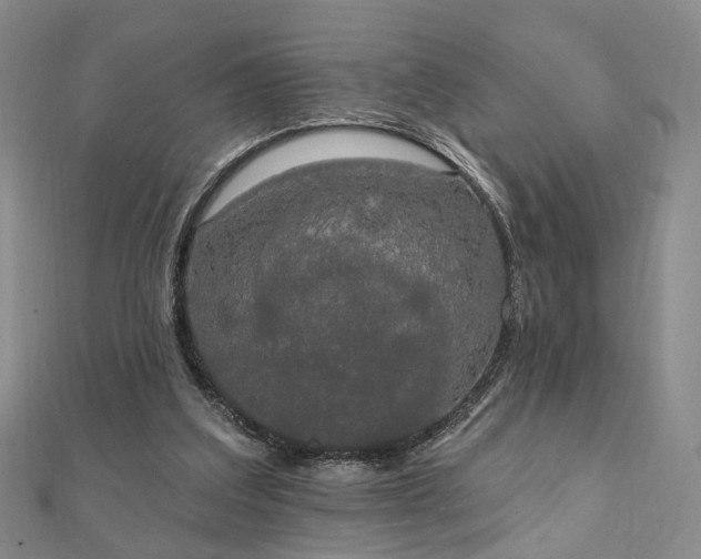 X0000111910203200908031145