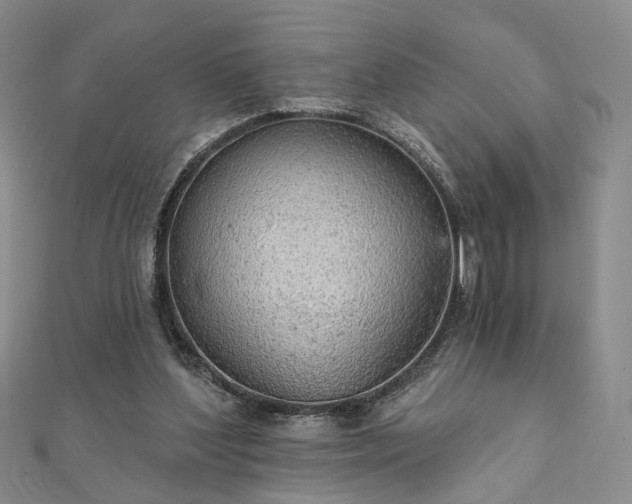 X0000111910204200908031145