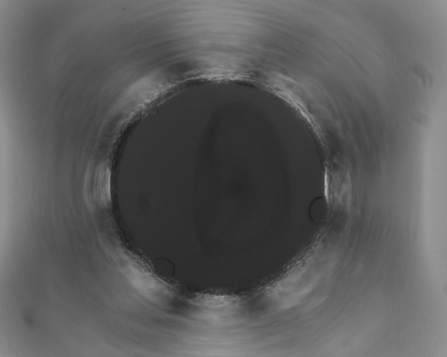 X0000111910205200908031145