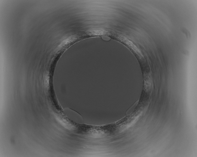 X0000111910207200908031145