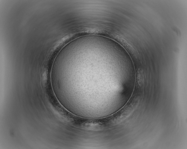 X0000111910208200908031145