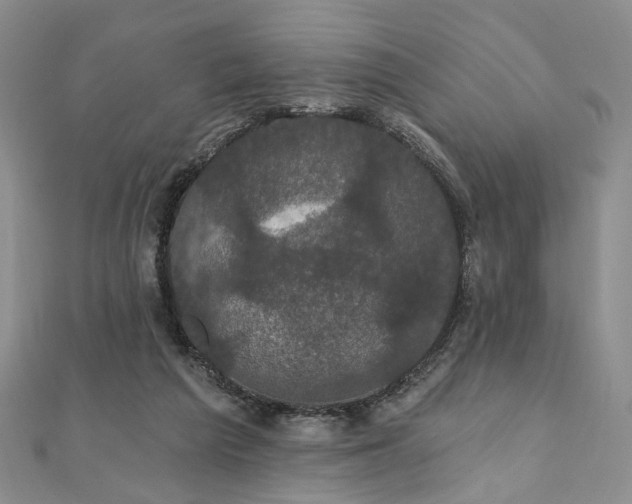 X0000111910209200908031145