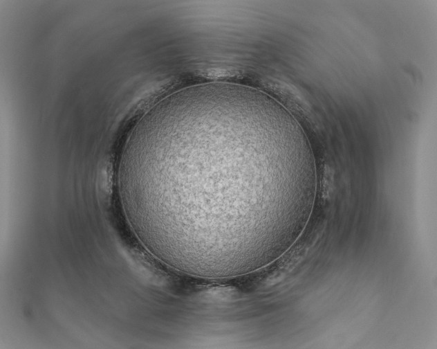 X0000111910210200908031145