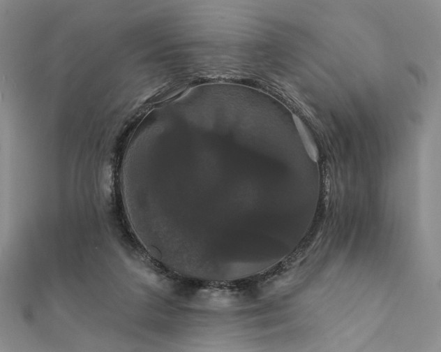 X0000111910211200908031145