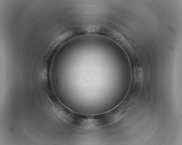 X0000111910212200908031145