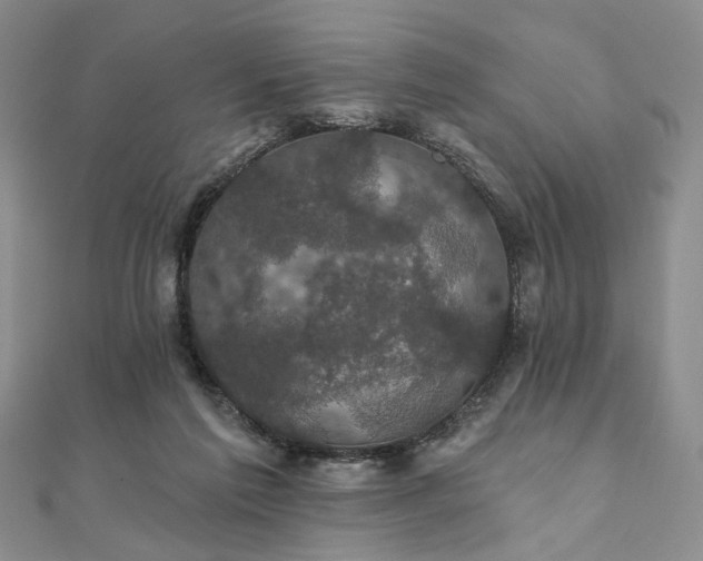 X0000111910213200908031145