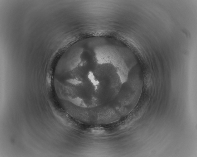 X0000111910214200908031144