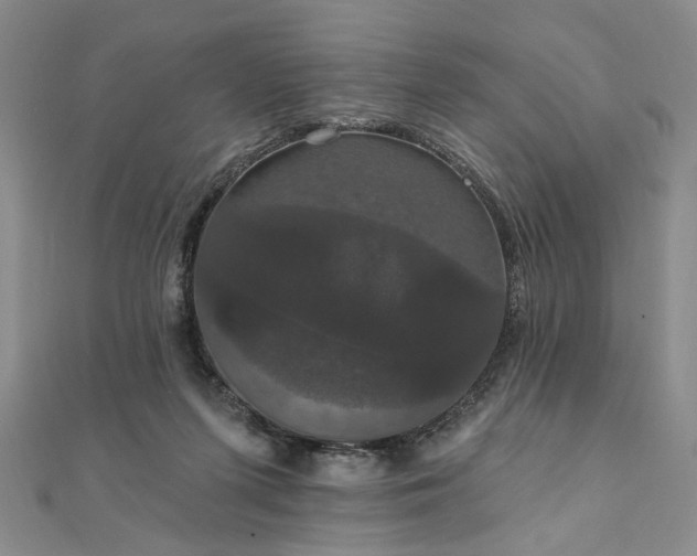 X0000111910215200908031144