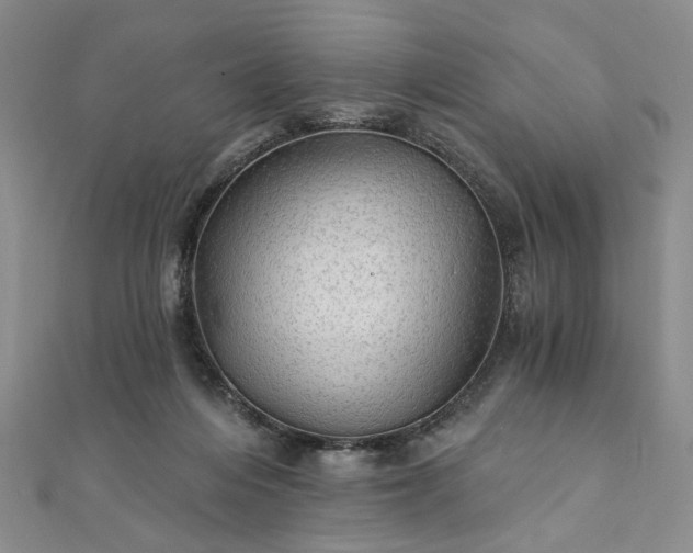 X0000111910216200908031144