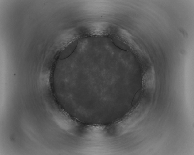 X0000111910217200908031144