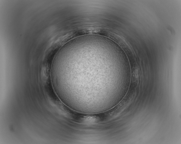 X0000111910218200908031144