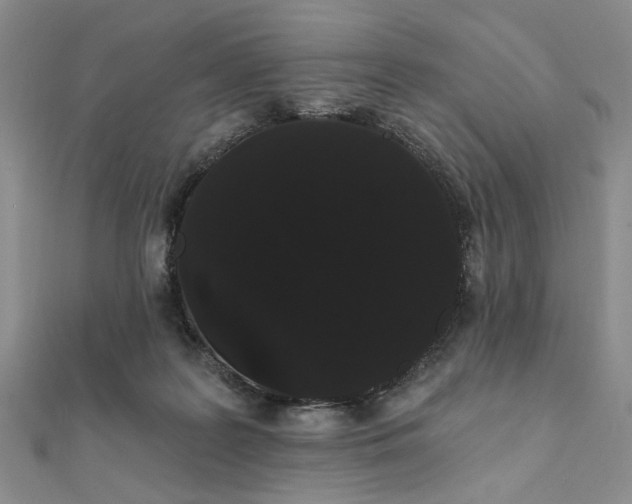 X0000111910219200908031144