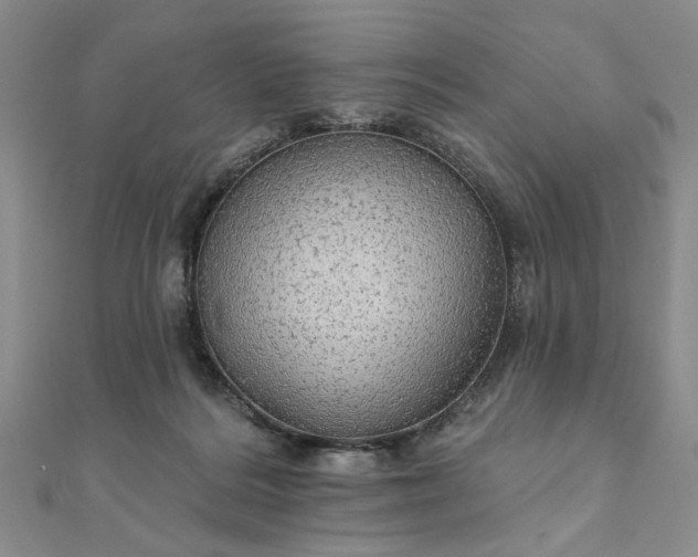 X0000111910220200908031144