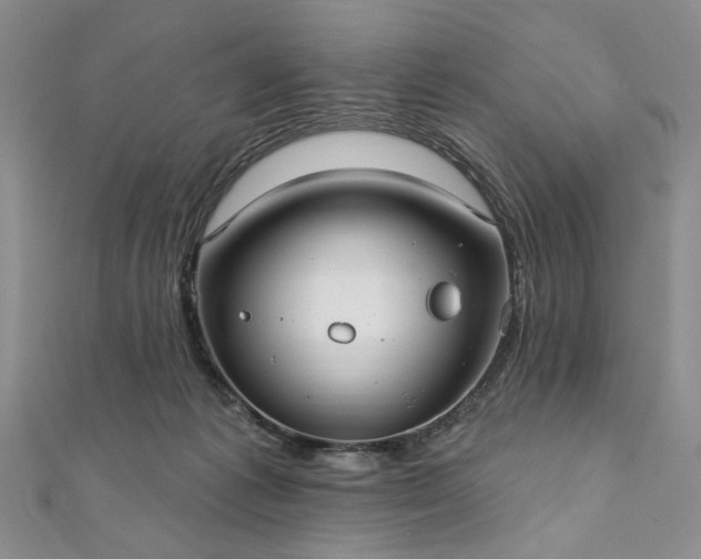 X0000111910221200908031144