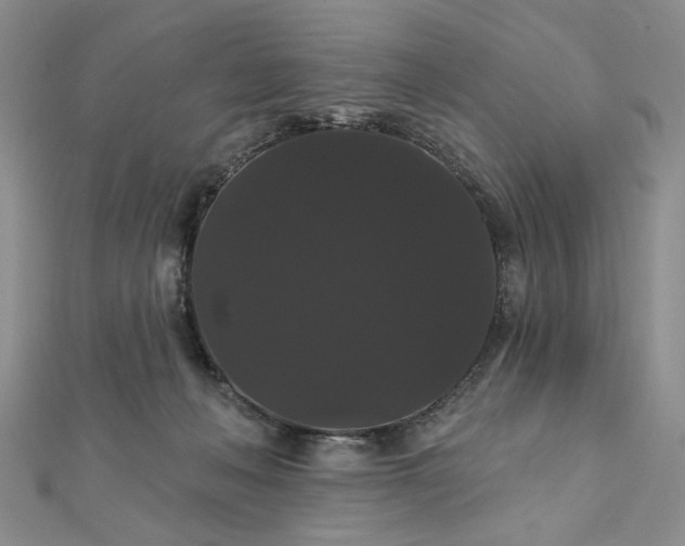 X0000111910222200908031144