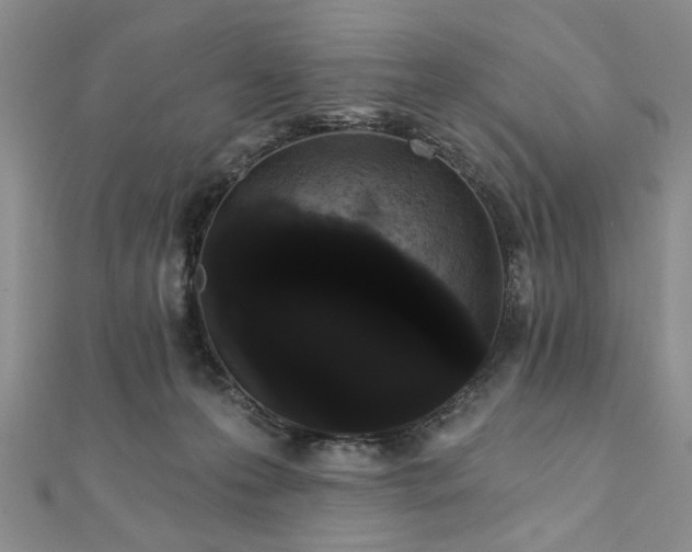 X0000111910223200908031144