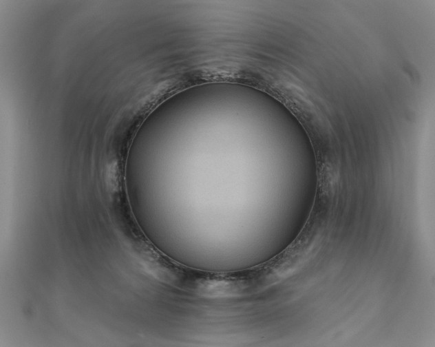 X0000111910224200908031144