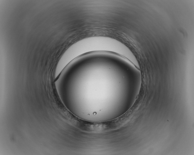 X0000111910225200908031144