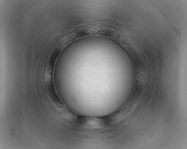 X0000111910226200908031144