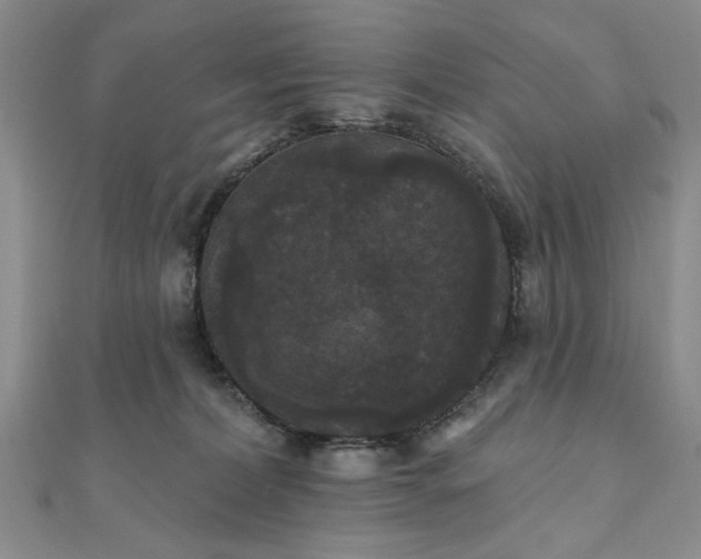 X0000111910228200908031144