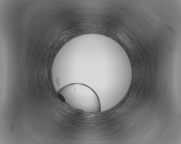 X0000111910229200908031144