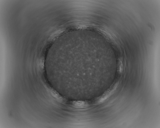 X0000111910230200908031144