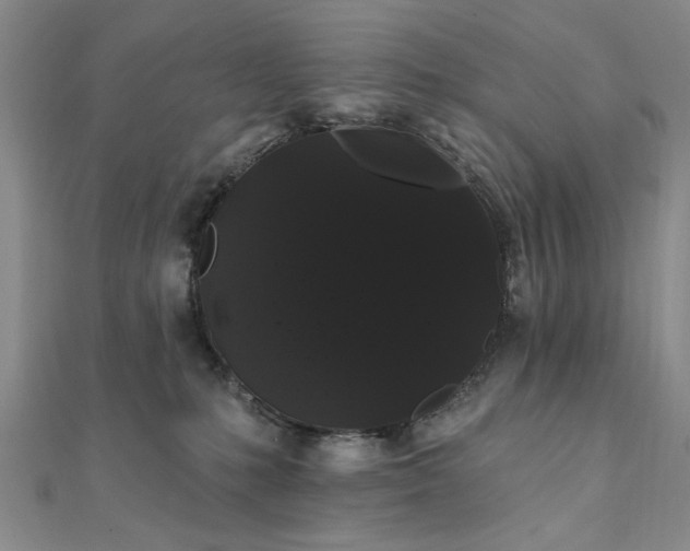 X0000111910231200908031144