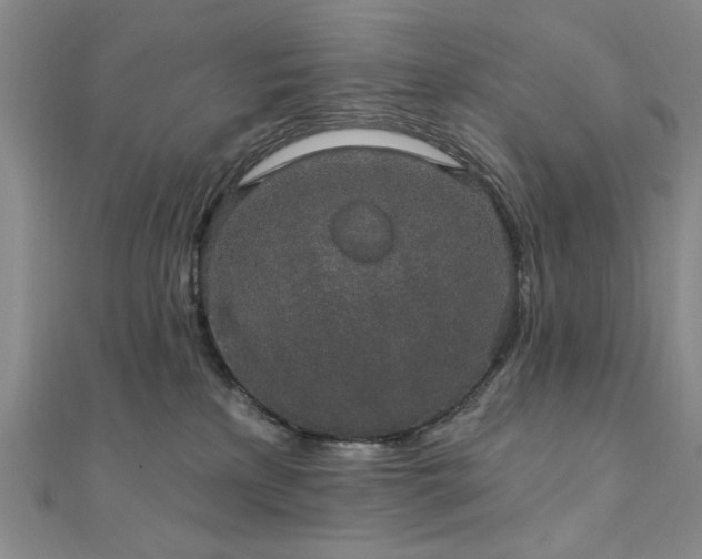 X0000111910233200908031144