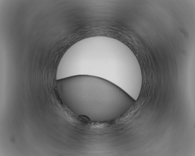 X0000111910235200908031144