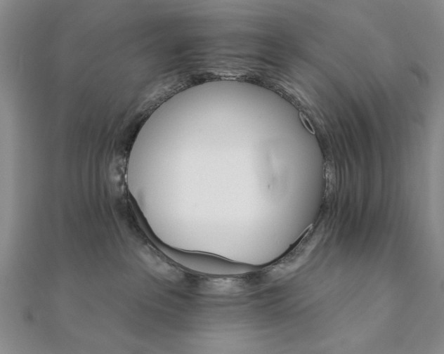 X0000111910237200908031144