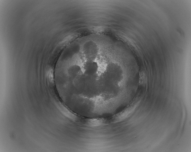 X0000111910238200908031144