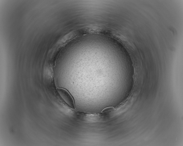 X0000111910240200908031144