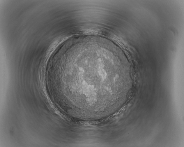 X0000111910241200908031144