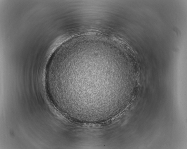 X0000111910242200908031144