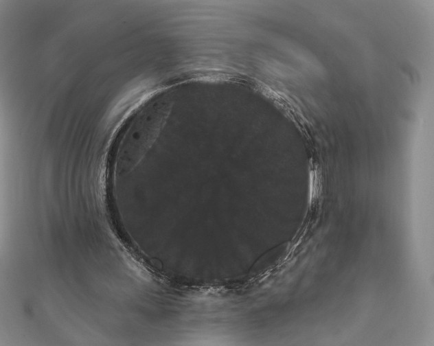 X0000111910243200908031144