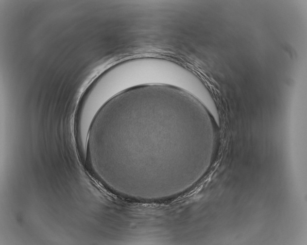 X0000111910244200908031144