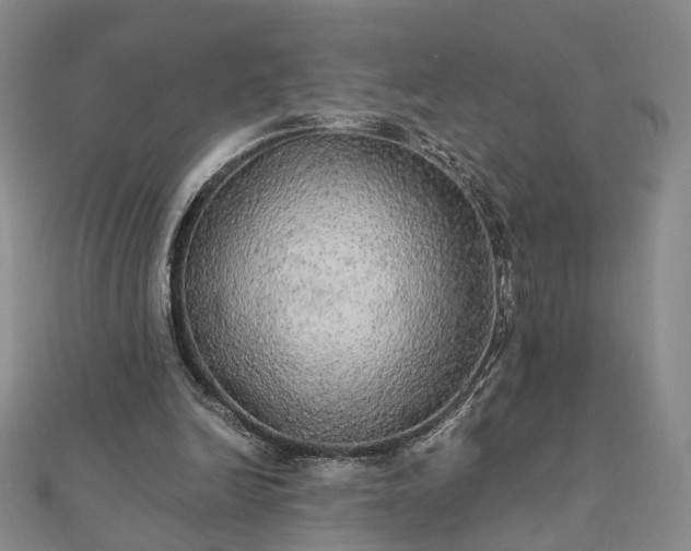 X0000111910246200908031144