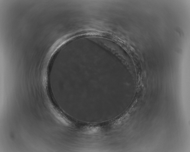 X0000111910247200908031144