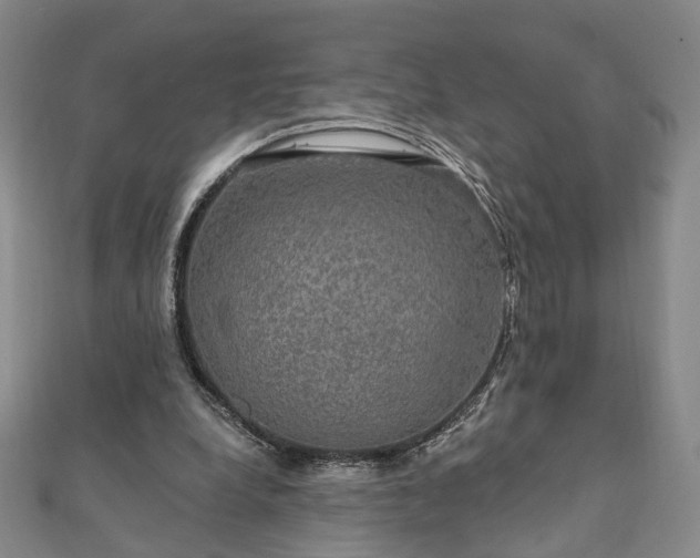 X0000111910248200908031144