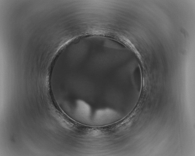 X0000111910249200908031144