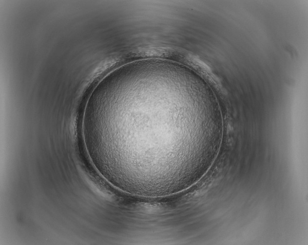 X0000111910250200908031144