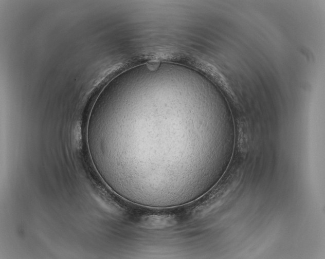 X0000111910251200908031144