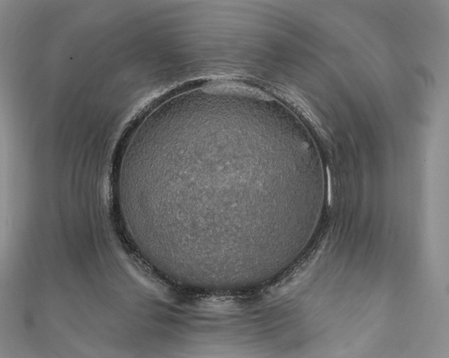 X0000111910252200908031144