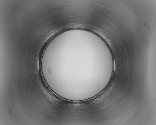 X0000111910253200908031144