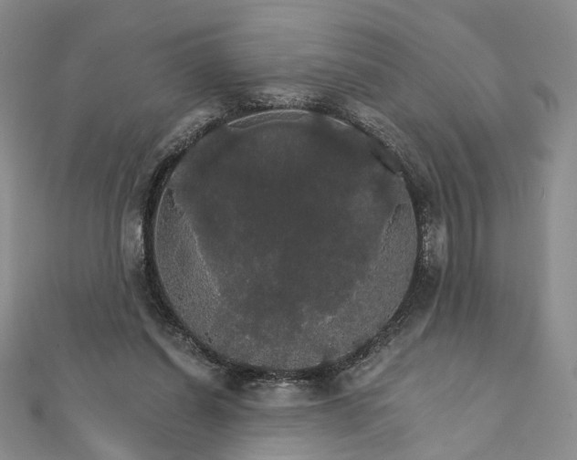 X0000111910254200908031144