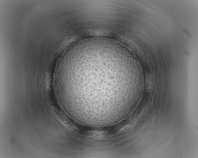 X0000111910255200908031144