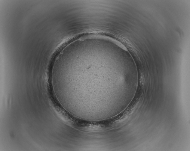 X0000111910256200908031144