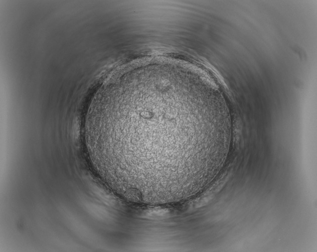 X0000111910257200908031144